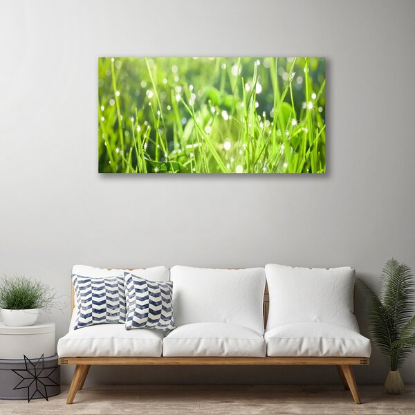 Obraz Canvas Tráva rastlina príroda 100x50 cm