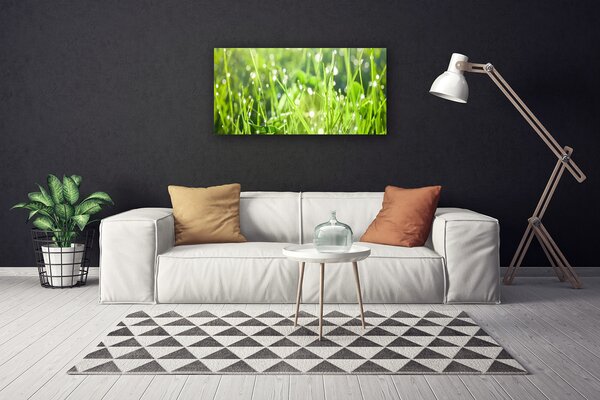 Obraz Canvas Tráva rastlina príroda 100x50 cm