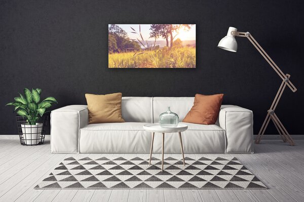 Obraz Canvas Lúka tráva strom príroda 100x50 cm