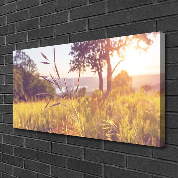 Obraz Canvas Lúka tráva strom príroda 100x50 cm