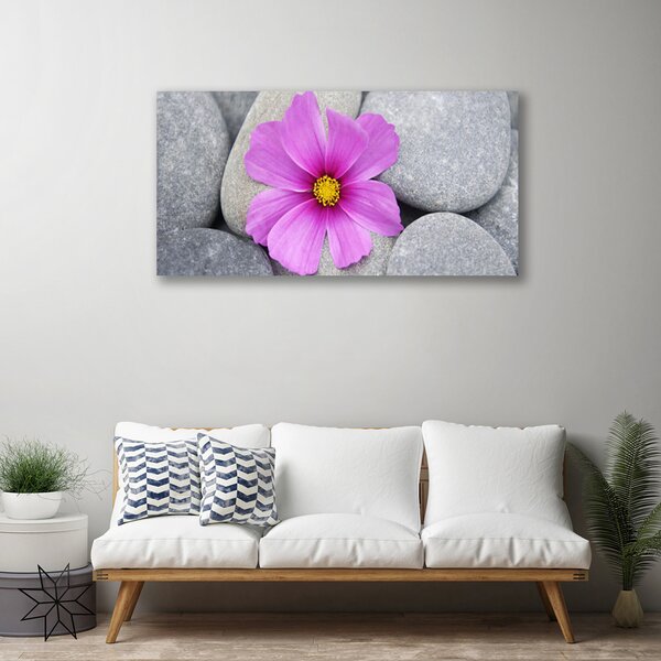 Obraz Canvas Kvet kamene rastlina 100x50 cm