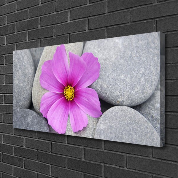 Obraz Canvas Kvet kamene rastlina 100x50 cm