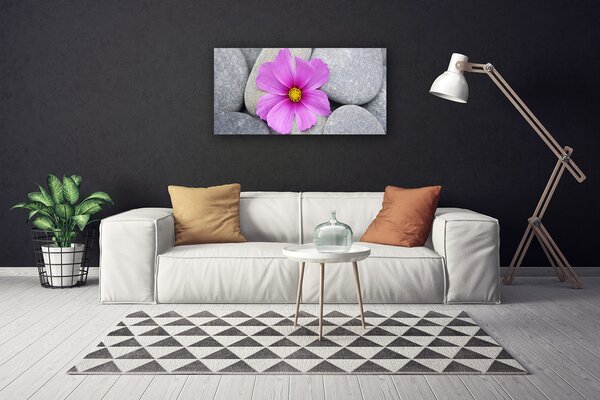 Obraz Canvas Kvet kamene rastlina 100x50 cm