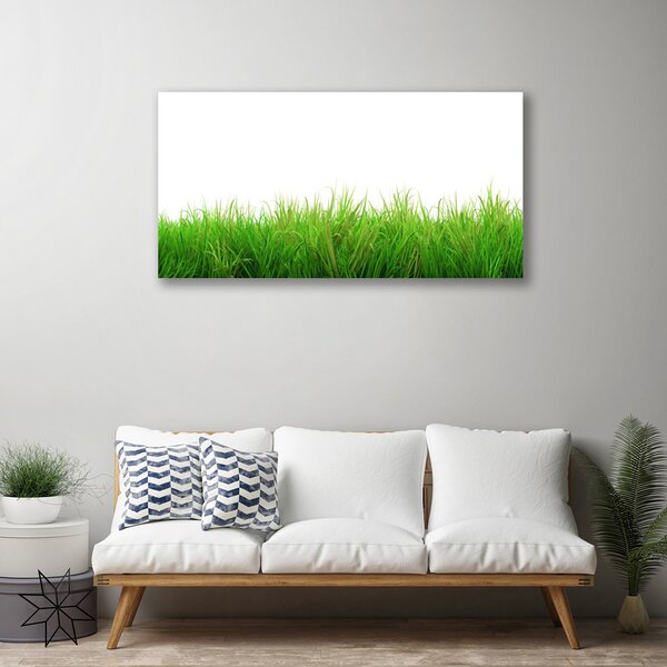 Obraz Canvas Tráva rastlina príroda 100x50 cm