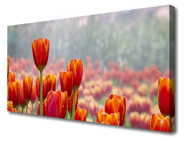 Obraz Canvas Tulipány kvety rastlina 125x50 cm