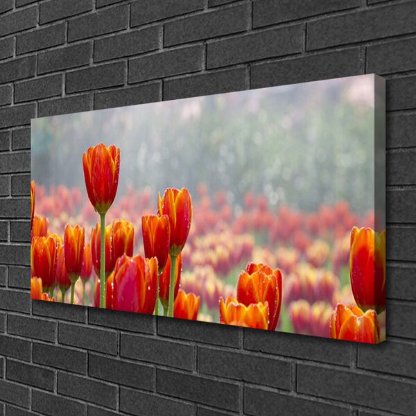 Obraz Canvas Tulipány kvety rastlina 100x50 cm