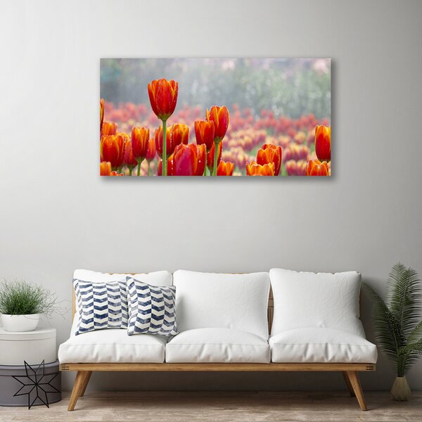 Obraz Canvas Tulipány kvety rastlina 100x50 cm