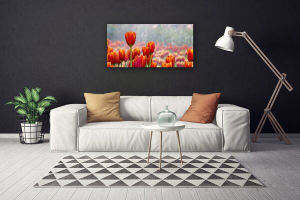 Obraz Canvas Tulipány kvety rastlina 100x50 cm