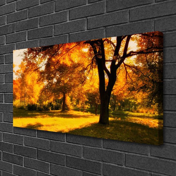 Obraz Canvas Stromy jeseň príroda 100x50 cm