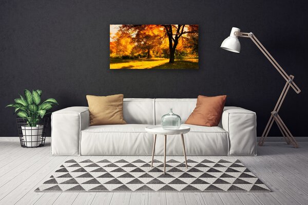 Obraz Canvas Stromy jeseň príroda 100x50 cm