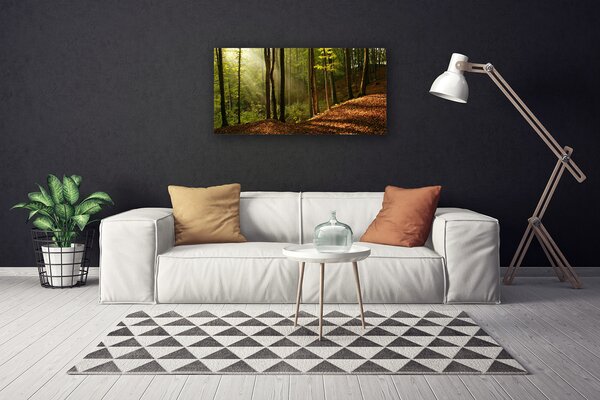 Obraz Canvas Les stromy príroda 100x50 cm