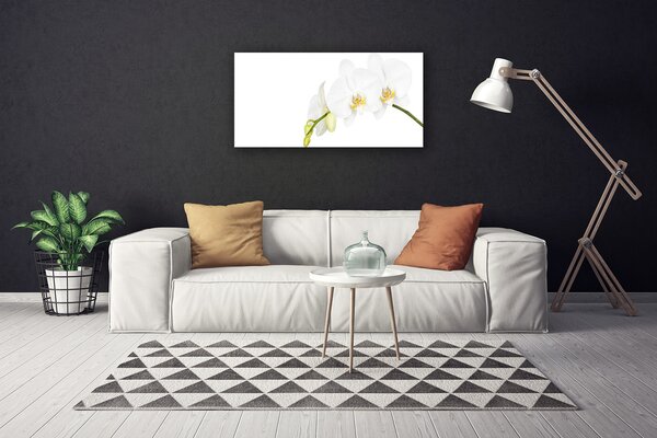 Obraz Canvas Kvety rastlina príroda 100x50 cm