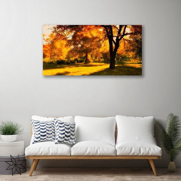 Obraz Canvas Stromy jeseň príroda 100x50 cm