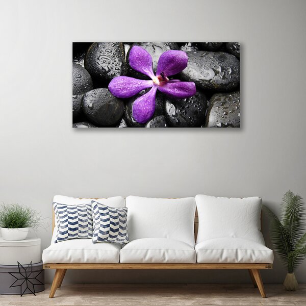 Obraz Canvas Kvet kamene umenie 100x50 cm