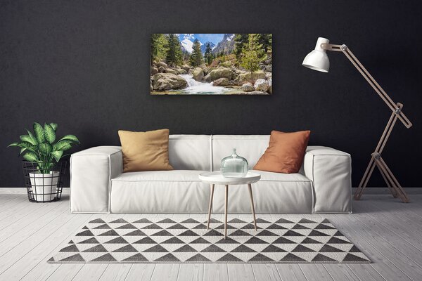 Obraz Canvas Hora les kamene rieka 100x50 cm