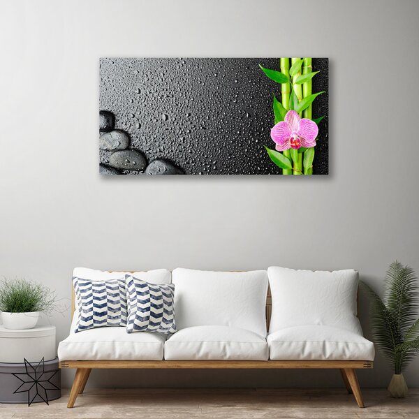Obraz Canvas Bambus stonka kvet rastlina 100x50 cm