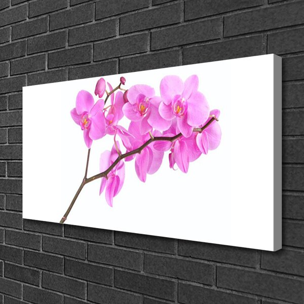 Obraz Canvas Kvety rastlina príroda 100x50 cm