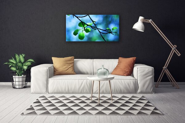 Obraz Canvas Vetva listy rastlina príroda 100x50 cm