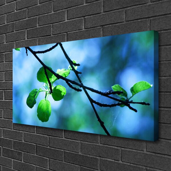 Obraz Canvas Vetva listy rastlina príroda 100x50 cm