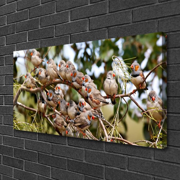 Obraz na plátne Vtáky zvieratá 100x50 cm