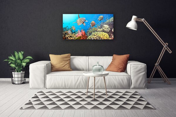 Obraz na plátne Koralový útes krajina 100x50 cm