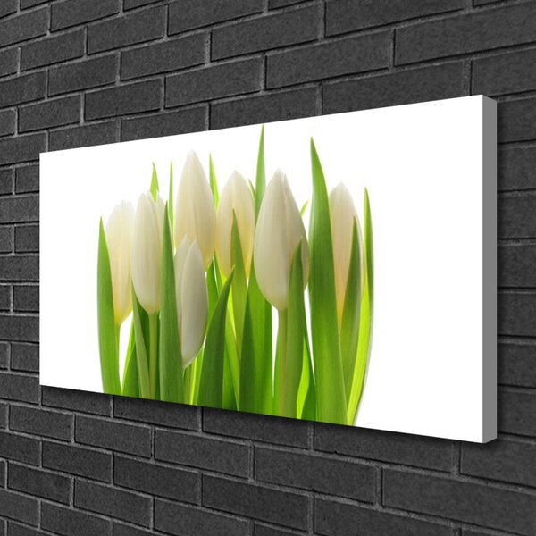 Obraz na plátne Tulipány rastlina príroda 100x50 cm