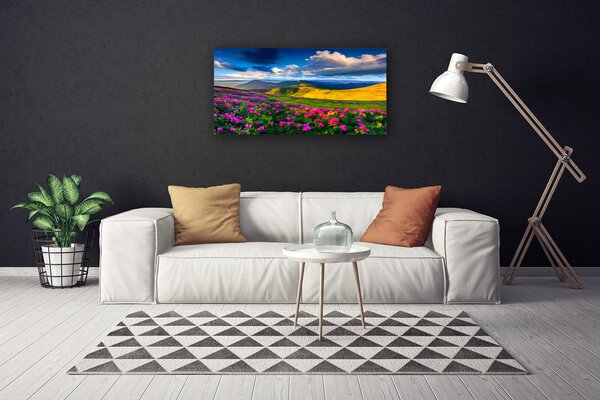 Obraz na plátne Lúka kvety príroda 100x50 cm