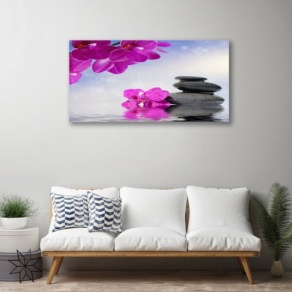 Obraz na plátne Kvety kamene rastlina 100x50 cm