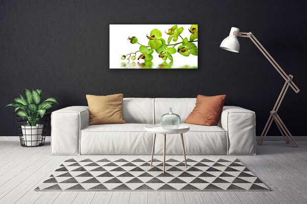 Obraz na plátne Kvety rastlina príroda 100x50 cm