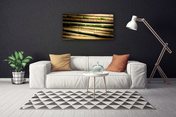 Obraz na plátne Bambus rastlina príroda 100x50 cm