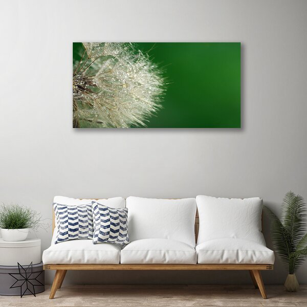 Obraz na plátne Púpava rastlina 100x50 cm