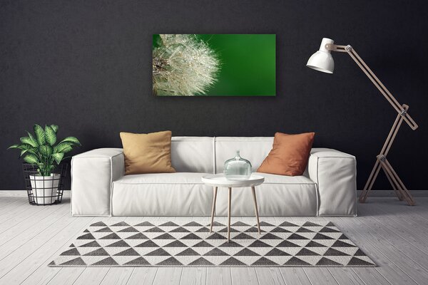 Obraz na plátne Púpava rastlina 100x50 cm