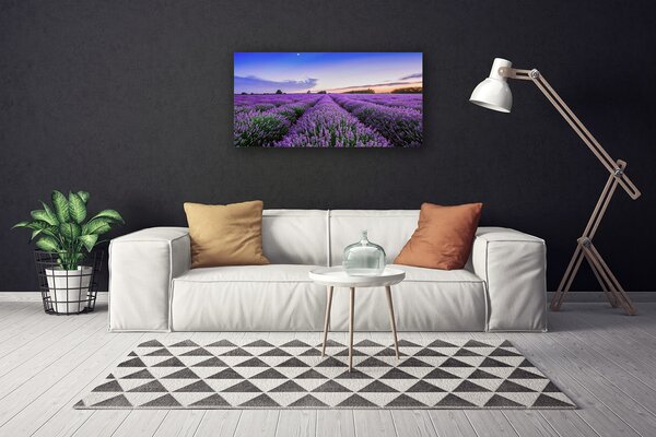 Obraz na plátne Lúka kvety príroda rastlina 100x50 cm