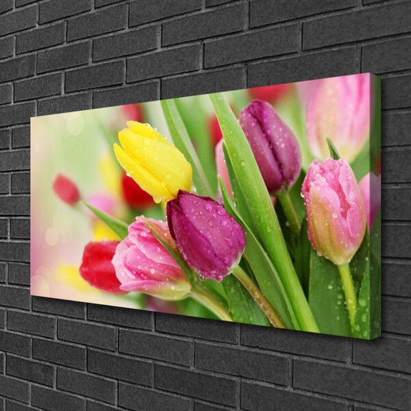Obraz na plátne Tulipány kvety rastlina 100x50 cm