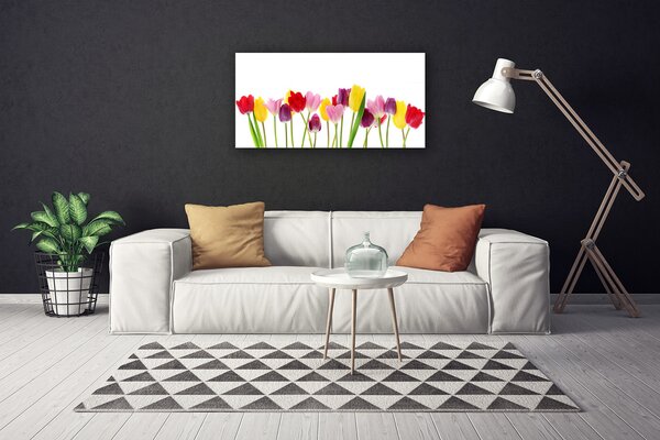 Obraz na plátne Tulipány kvety rastlina 100x50 cm