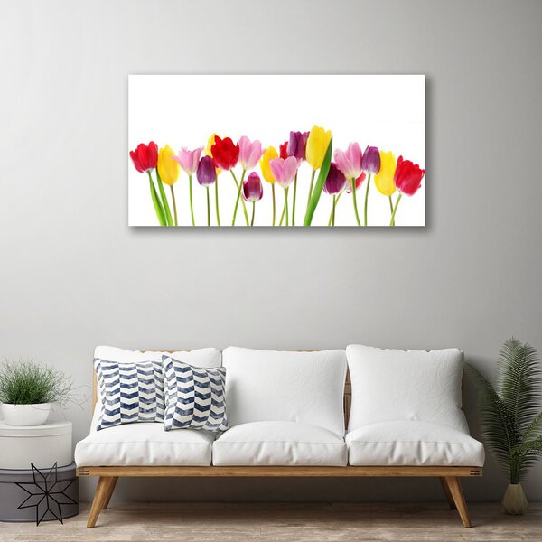 Obraz na plátne Tulipány kvety rastlina 100x50 cm