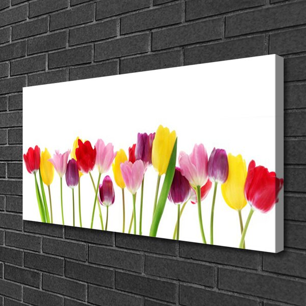 Obraz na plátne Tulipány kvety rastlina 100x50 cm