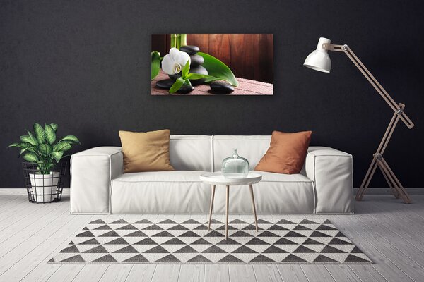 Obraz na plátne Kvet kamene rastlina 100x50 cm