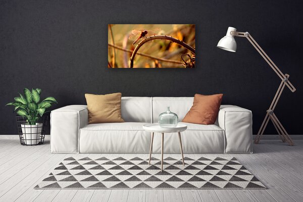 Obraz na plátne Vážka príroda rastlina 100x50 cm