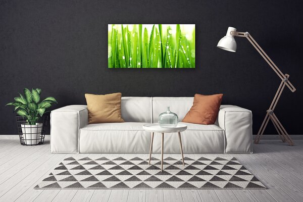 Obraz na plátne Tráva rastlina príroda 100x50 cm