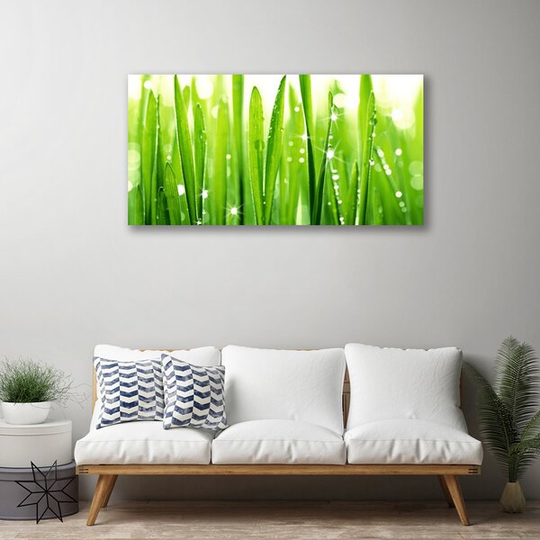 Obraz na plátne Tráva rastlina príroda 100x50 cm
