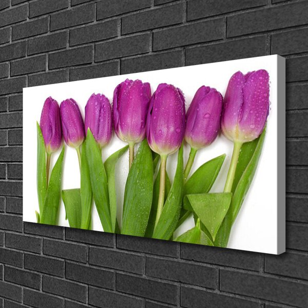 Obraz na plátne Tulipány kvety rastlina 100x50 cm