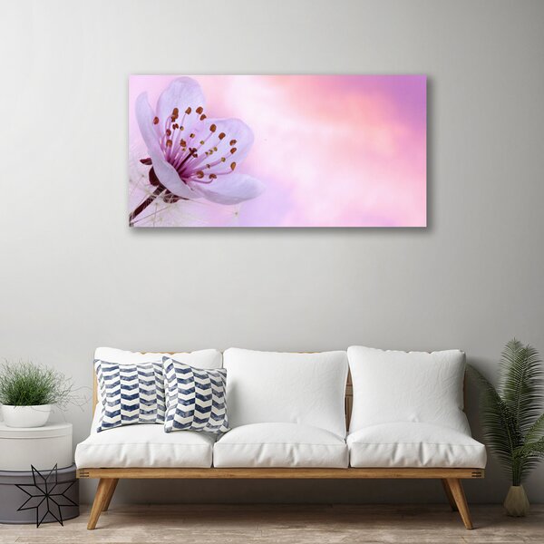 Obraz na plátne Kvet rastlina príroda 100x50 cm