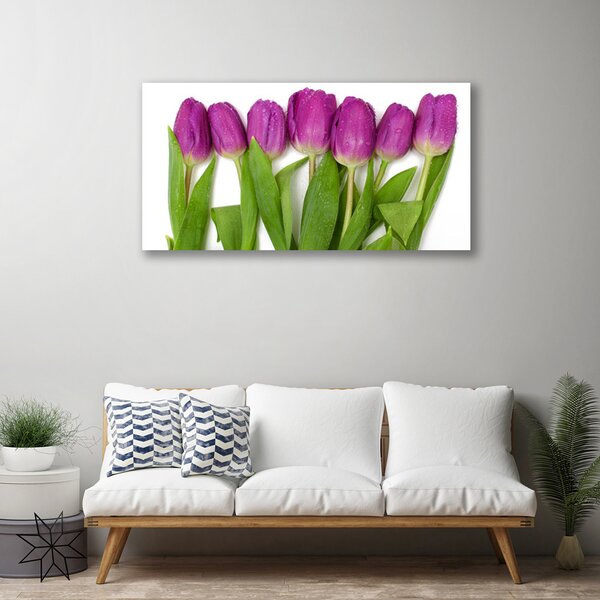 Obraz na plátne Tulipány kvety rastlina 100x50 cm