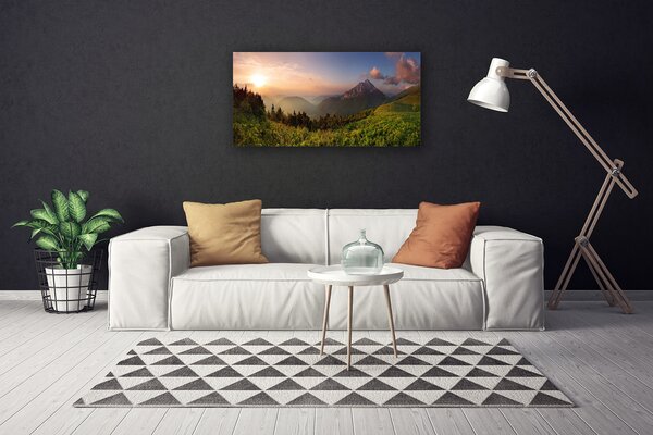 Obraz na plátne Hora les príroda 100x50 cm