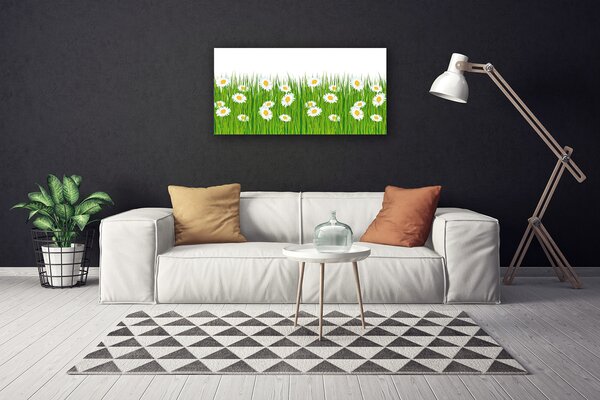 Obraz na plátne Tráva sedmokrásky príroda 100x50 cm