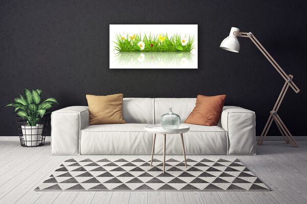 Obraz na plátne Tráva príroda rastlina 100x50 cm