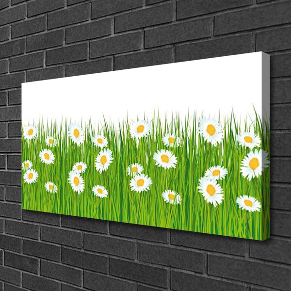 Obraz na plátne Tráva sedmokrásky príroda 100x50 cm