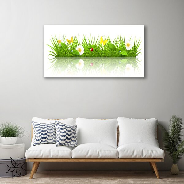 Obraz na plátne Tráva príroda rastlina 100x50 cm