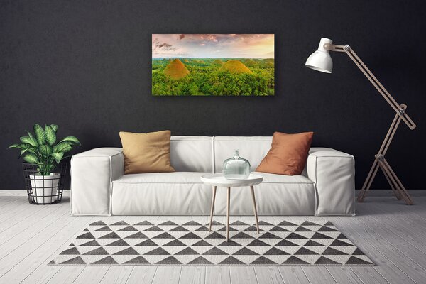 Obraz na plátne Les príroda 100x50 cm